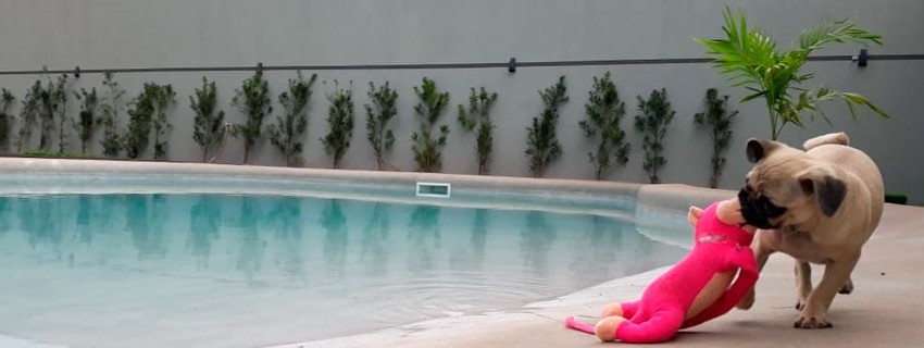 Piscina Playa Interna