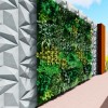 Thumbnail Jardin Vertical0